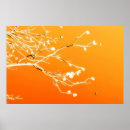 Recherche de couleur pêche posters Orange