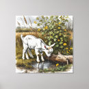 Search for goat canvas prints Nature