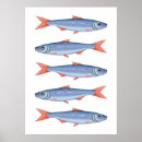 Search for sardine art Pattern