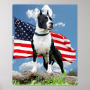 Search for pit bull terrier posters Pittie