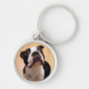 Search for boston terrier keychains Puppies