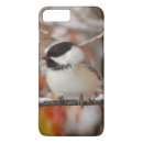 Search for chickadee phone cases Wildlife