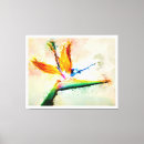 Search for bird of paradise canvas prints Watercolor