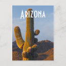 Search for saguaro cactus postcards Scenic