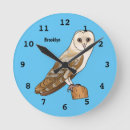 Search for barn owl clocks Bird