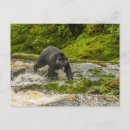 Search for agua postcards Danita delimont