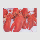 Search for lobster tissue paper Marine life
