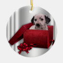 Search for dalmatian ornaments Dog