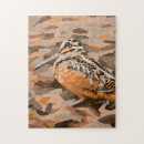 Search for american woodcock Nature