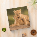 Search for cutest binders Wildlife reserve