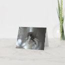 Search for tuxedo cat christmas cards White