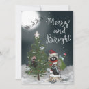 Search for raccoon christmas cards Woodland