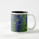 Recherche de texas bluebonnet tasses Nature
