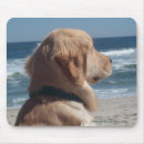 Search for beach mousepads Pet