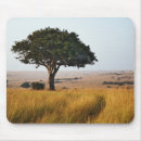 Search for acacia electronics Kenya