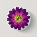 Recherche de lumineux badges Violet