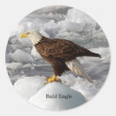 Recherche de aigle chauve autocollants Animal