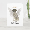 Search for german sympathy cards Rainbow bridge