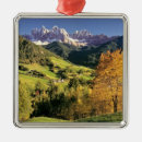 Search for tiny small ornaments Nature