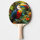 Recherche de toucan raquettes ping pong Forêt tropicale