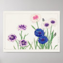 Search for cornflower posters Floral