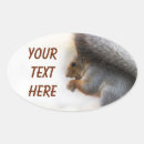 Search for squirrel with nuts stickers Animal