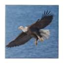 Recherche de aigle carreaux Alaska