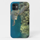 Search for invertebrate cases Ocean