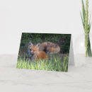 Search for kit cards Red fox