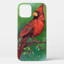 Search for red cardinal bird iphone cases Birds