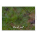 Search for droplets cards Green