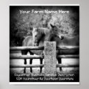 Recherche de écuries posters Cheval