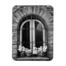 Search for black adam magnets Bw