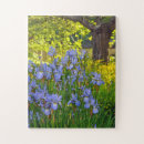 Search for iris puzzles Garden