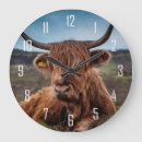 Search for highland cow clocks Animal