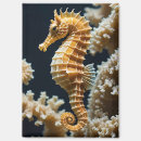 Recherche de hippocampe magnets Corail