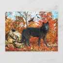 Recherche de corneille cartes postales Automne