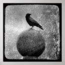 Search for black and white bird art Crow