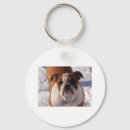 Search for bully keychains Bulldog