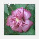 Recherche de maîtresse magnets Bouquet