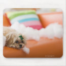 Search for destruction mousepads Horizontal