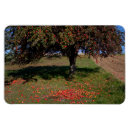 Recherche de producteurs magnets Agriculteur