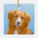 Recherche de écosse ornements Toller