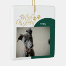 Search for green ornaments Zpet