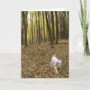 Search for sleeping mask postcards Dog