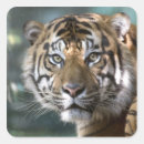 Search for captivity stickers Zoo