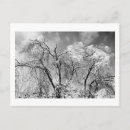 Search for blizzard horizontal postcards Ice
