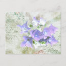 Search for brief postcards Vintage