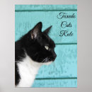 Search for tuxedo cat posters Animal