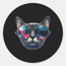 Search for space cats stickers Meme